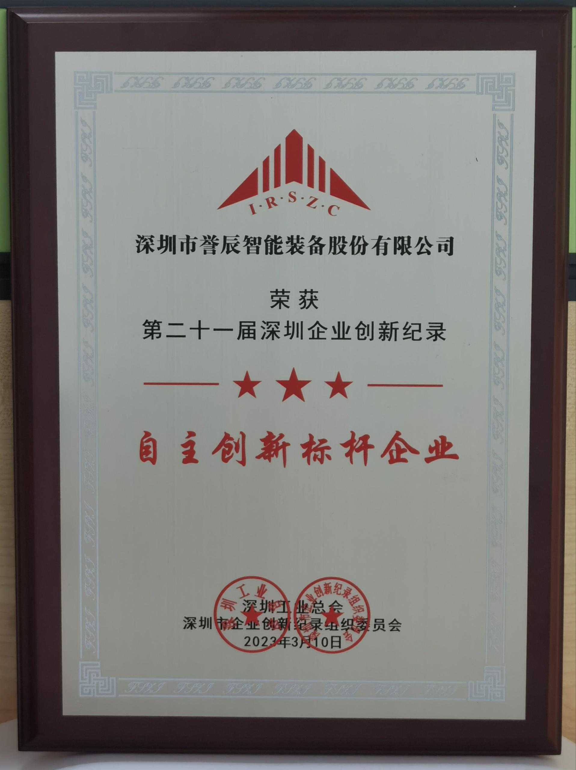 自主创新标杆企业