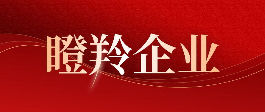喜报！誉辰智能获评深圳市 “瞪羚企业” 称号
